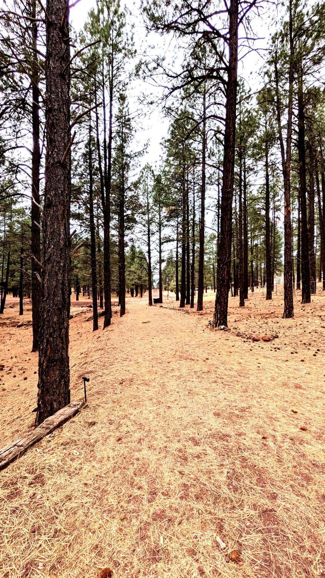 Close To Williams, Flagstaff, Grand Canyon And Sedona Exterior foto