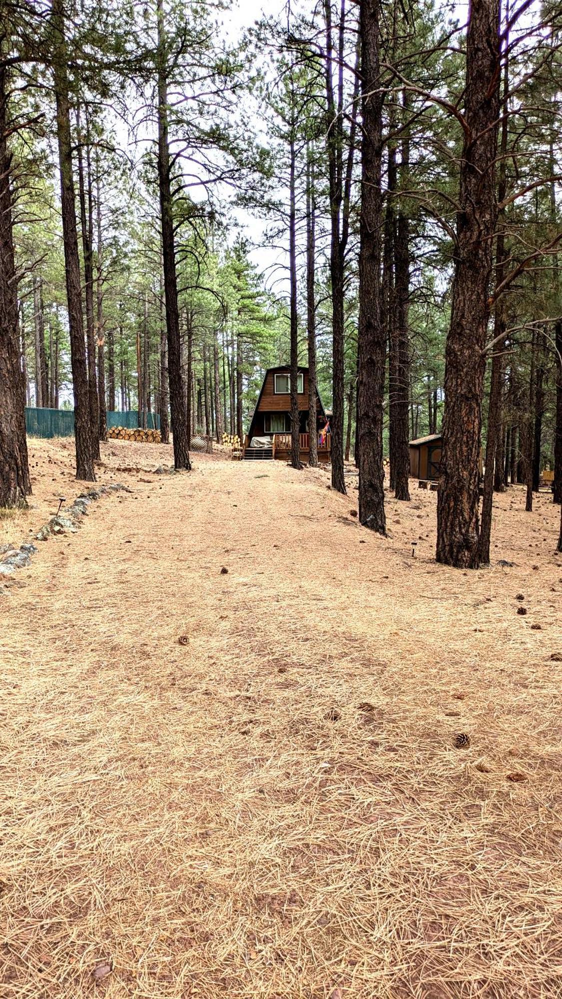 Close To Williams, Flagstaff, Grand Canyon And Sedona Exterior foto